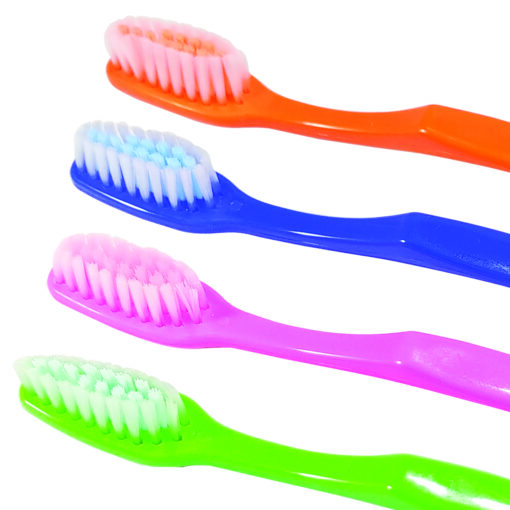 Disposable Toothbrushes