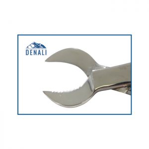 DENALI Plaster Nipper with Spring