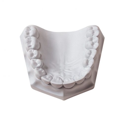 Whip Mix Orthodontic Stone - Image 2