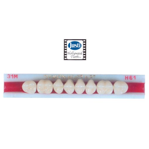 Dymon-Hue Plastic Teeth - Posterior 1 x 8 card
