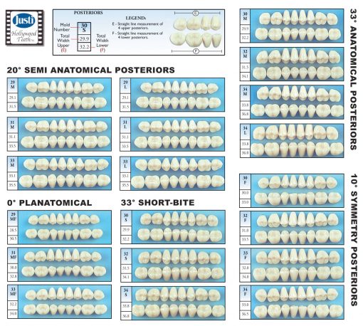 Dymon-Hue Plastic Teeth - Posterior 1 x 8 card - Image 3