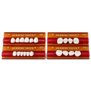 Bambino Teeth