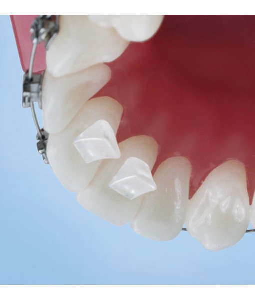 Bite Builder Orthodontic Supply & Equipment Company